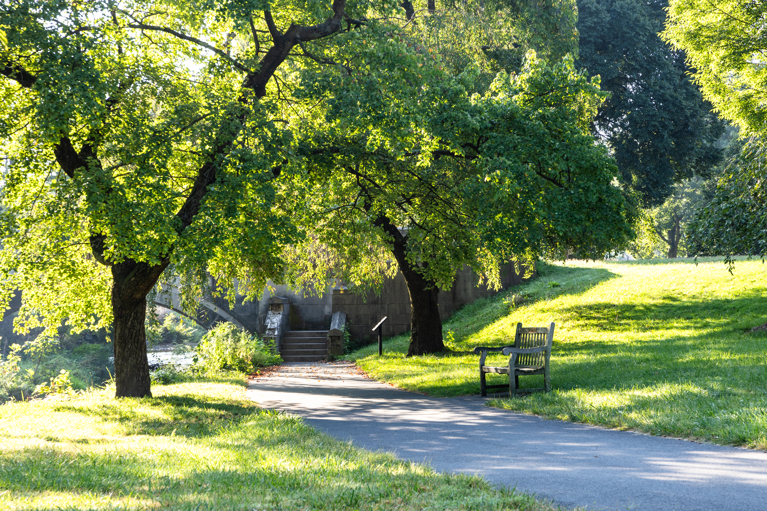 Arboretum Accessibility