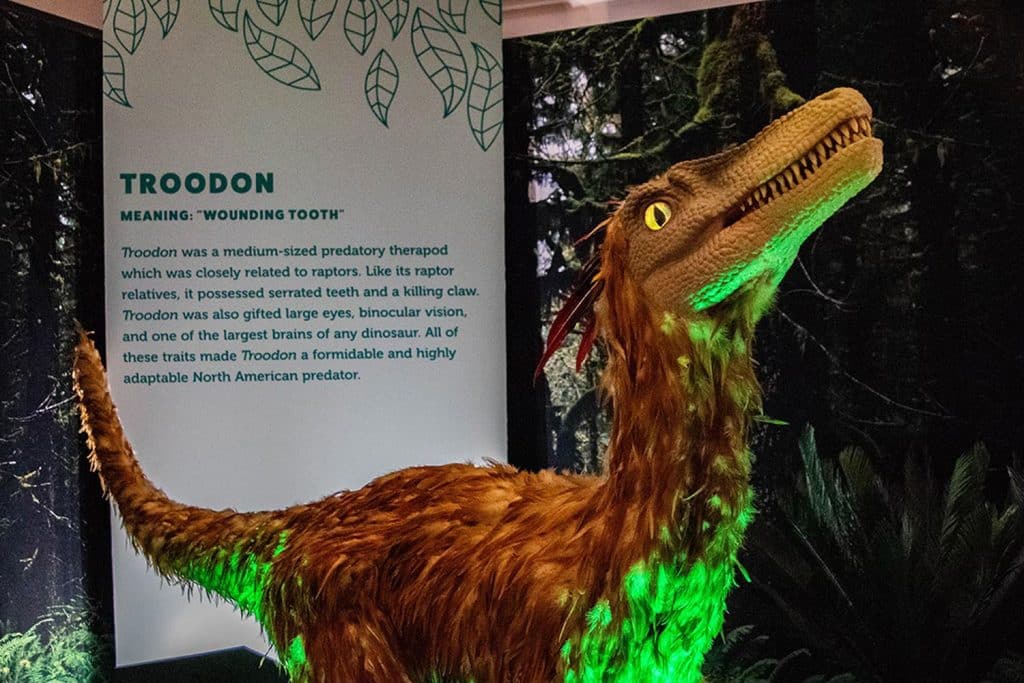 img-reading-public-dinosaur-explorer-1-featured