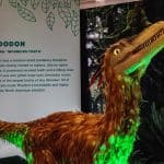 img-reading-public-dinosaur-explorer-1-featured
