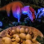 img-reading-public-dinosaur-explorer-3