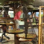 img-reading-public-museum-forever-forest-4