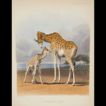 img-reading-public-museum-natural-histories1