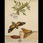 img-reading-public-museum-natural-histories2