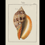 img-reading-public-museum-natural-histories3