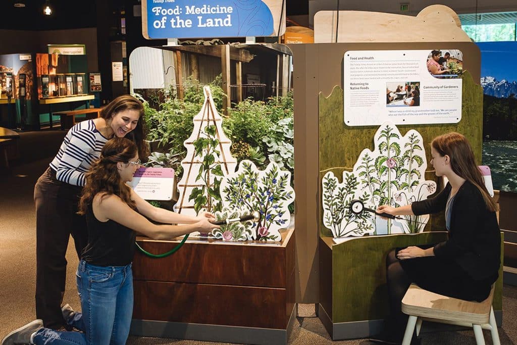 img-reading-public-museum-roots-1-featured