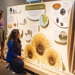 img-reading-public-museum-roots-3