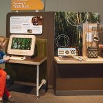 img-reading-public-museum-roots-4