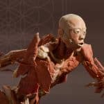 img-reading-public-real bodies-3