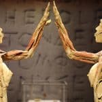 img-reading-public-real bodies-4